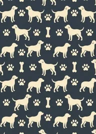 Good Boy artwork